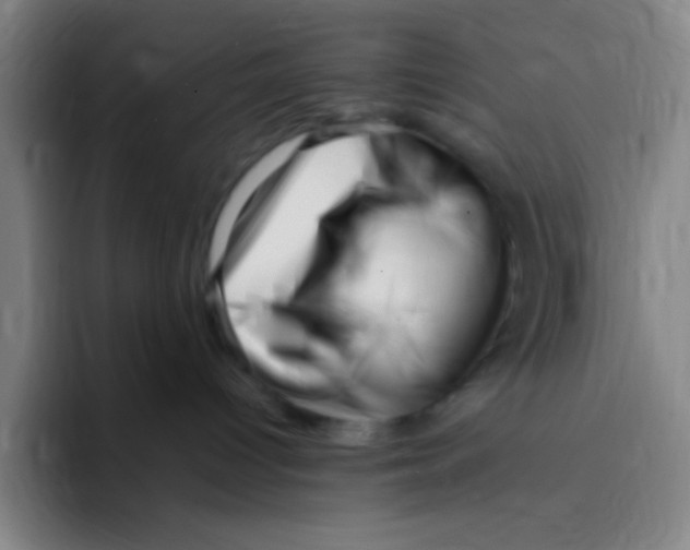 X0000094930096200712271601