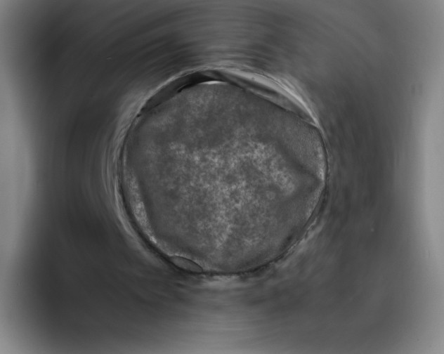 X0000094930097200712271601