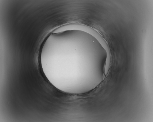 X0000094930098200712271601