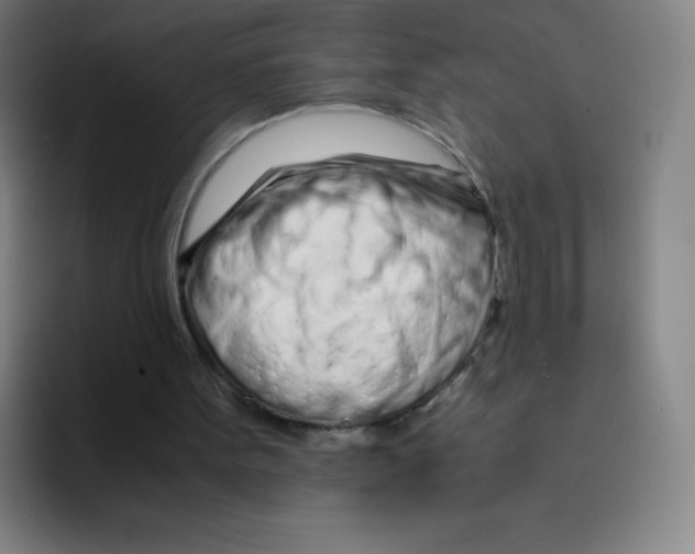 X0000094930099200712271601
