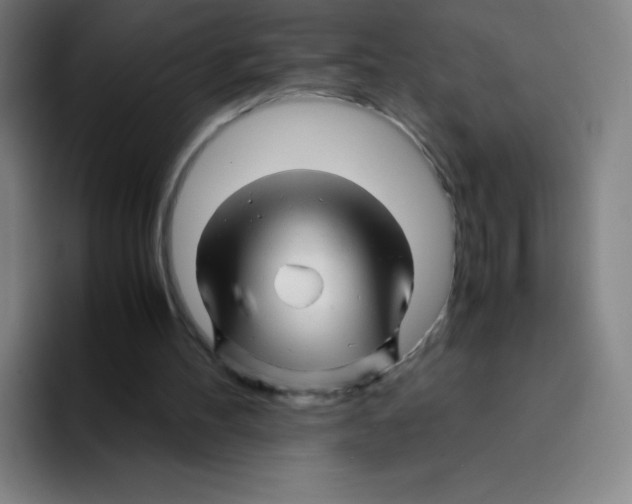 X0000094930100200712271601
