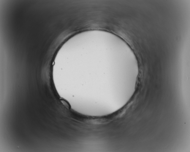 X0000094930103200712271601