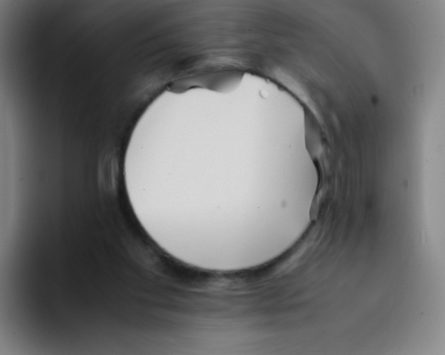 X0000094930109200712271600