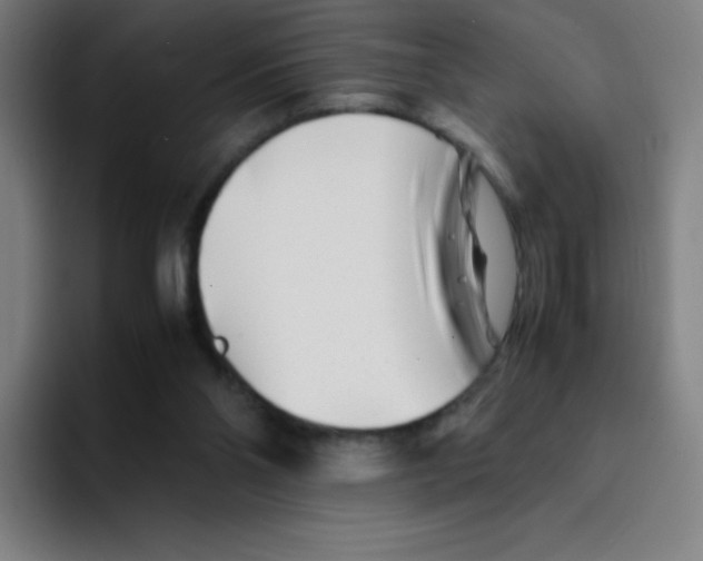 X0000094930110200712271600