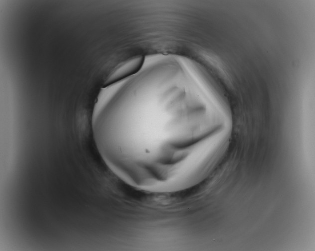 X0000094930121200712271600