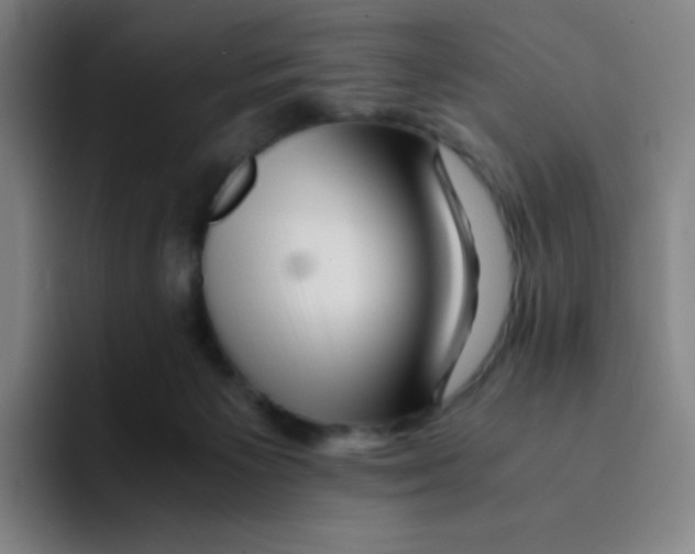 X0000094930125200712271600