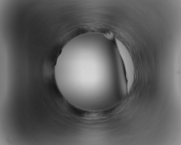 X0000094930129200712271600