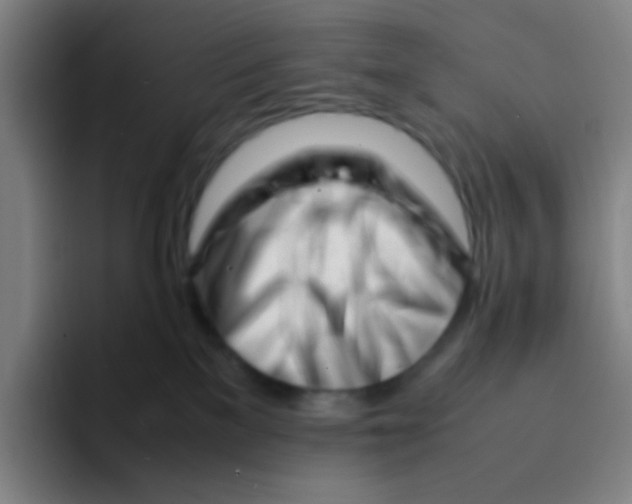 X0000094930137200712271600