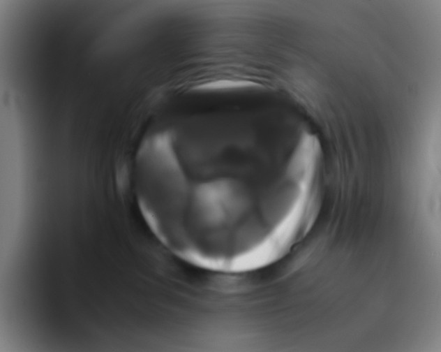 X0000094930139200712271600