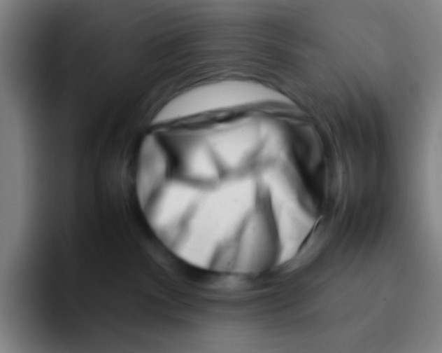 X0000094930140200712271600