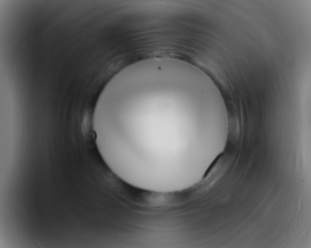 X0000094930142200712271600