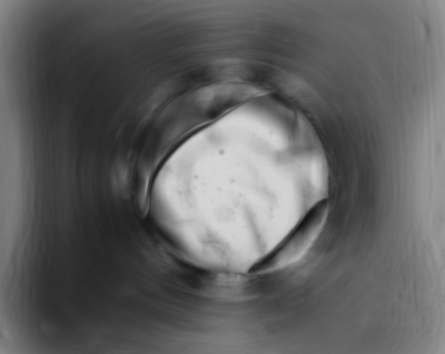 X0000094930144200712271600