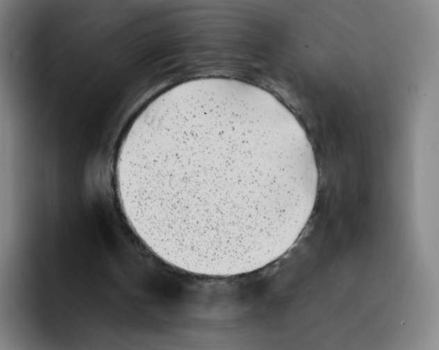 X0000094930146200712271559