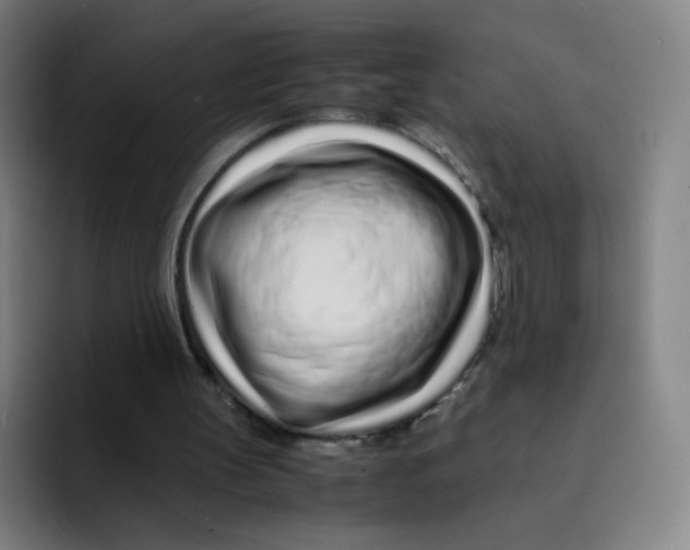 X0000094930147200712271559