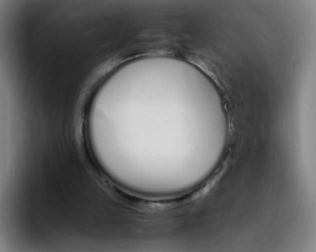 X0000094930149200712271559