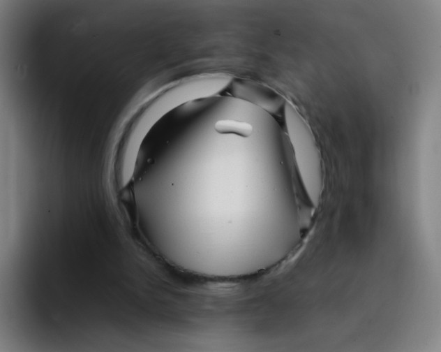 X0000094930150200712271559