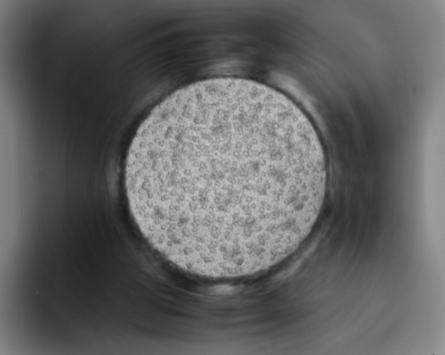 X0000094930153200712271559