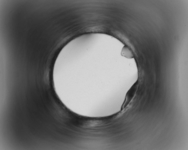 X0000094930154200712271600