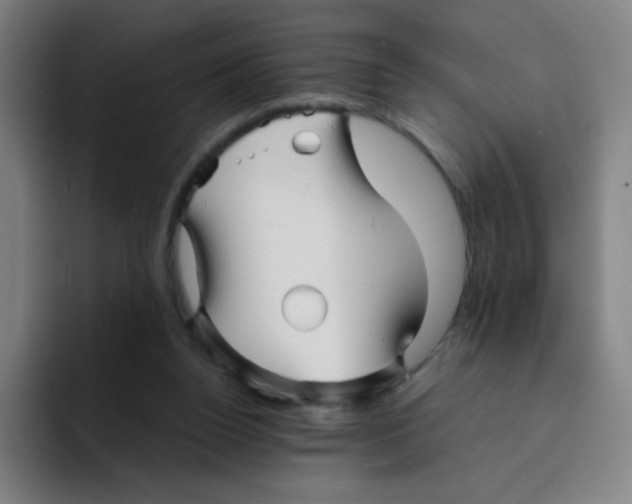 X0000094930160200712271600