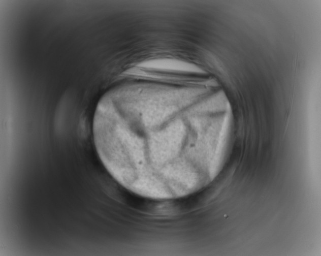 X0000094930173200712271600