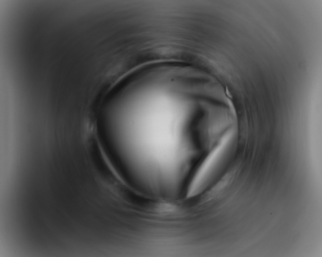 X0000094930176200712271600