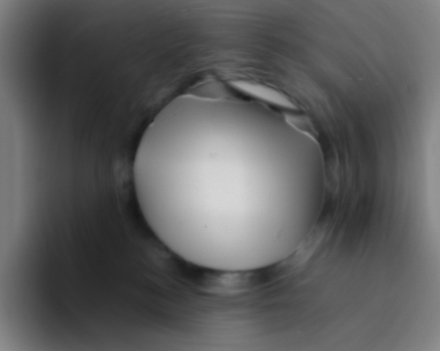 X0000094930184200712271600