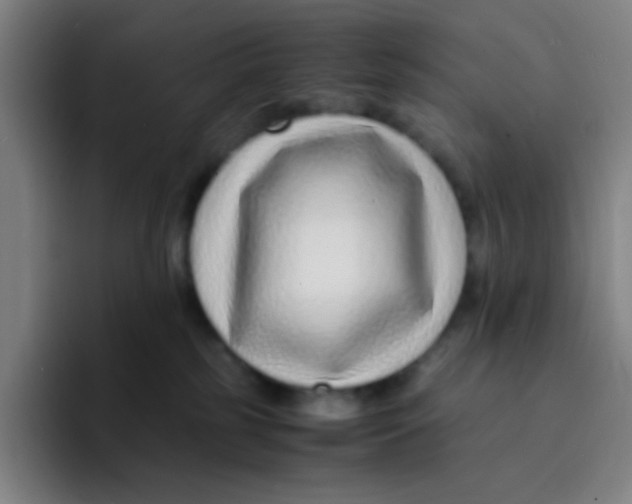 X0000094930185200712271600