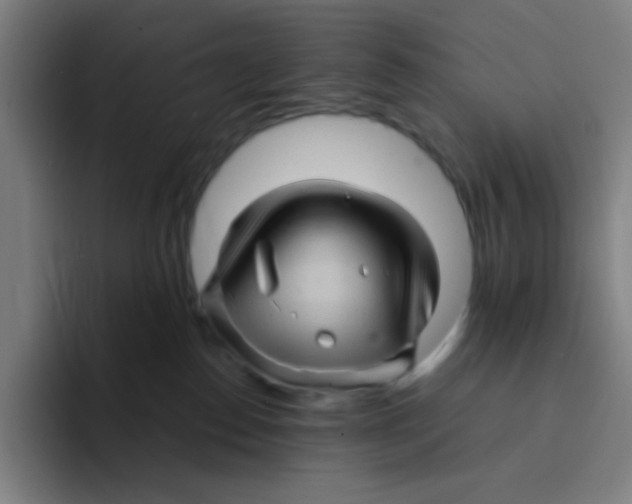 X0000094930186200712271600