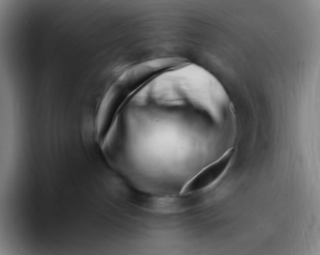 X0000094930192200712271600