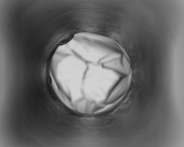 X0000094930194200712271559