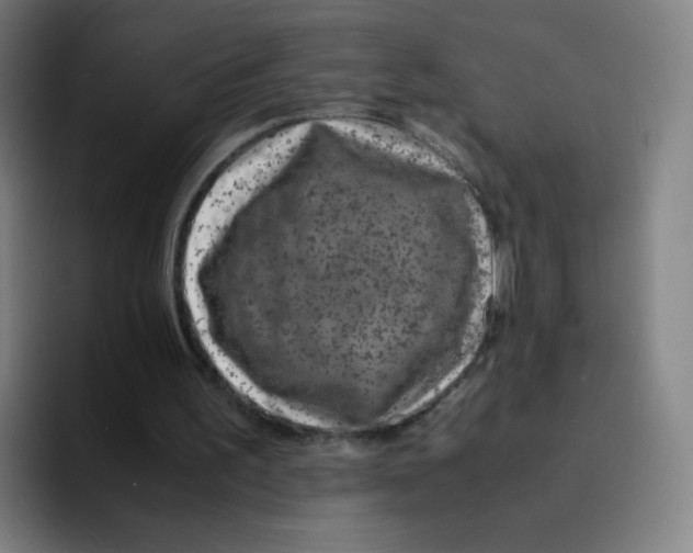 X0000094930195200712271559