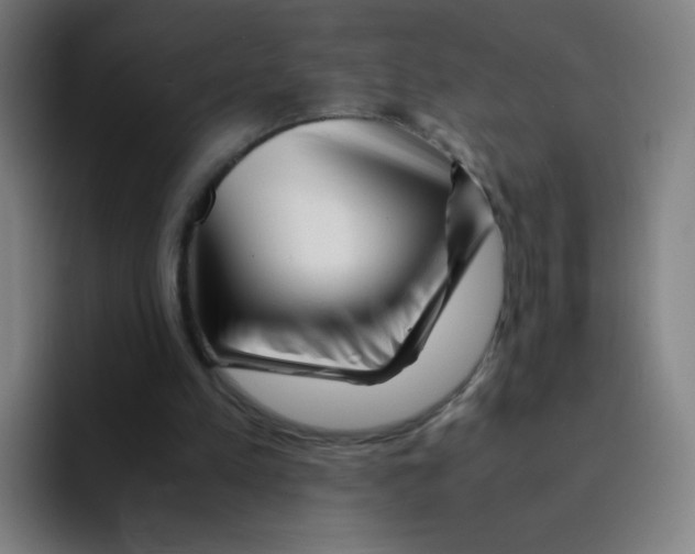 X0000094930197200712271559