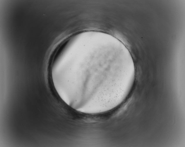 X0000094930199200712271559