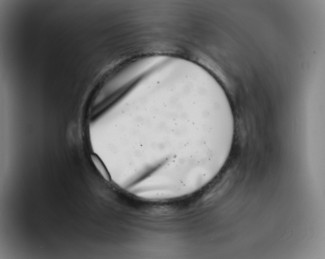 X0000094930203200712271559