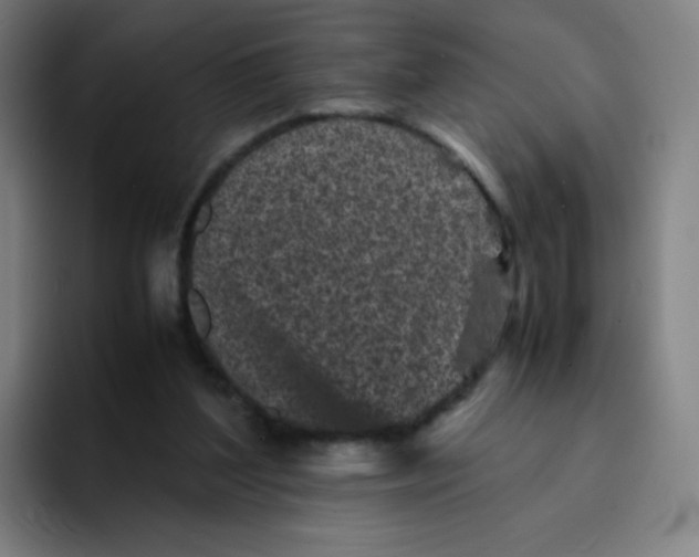 X0000094930204200712271559