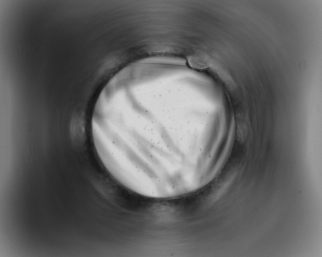 X0000094930207200712271559