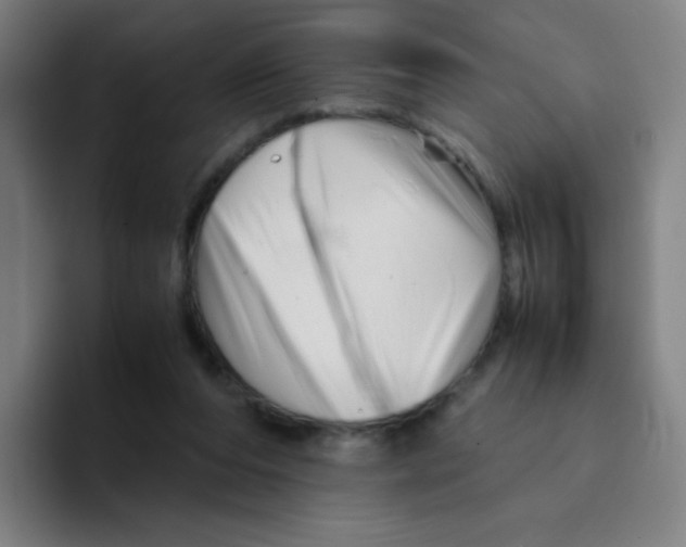 X0000094930208200712271559