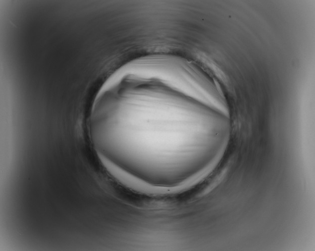 X0000094930209200712271559