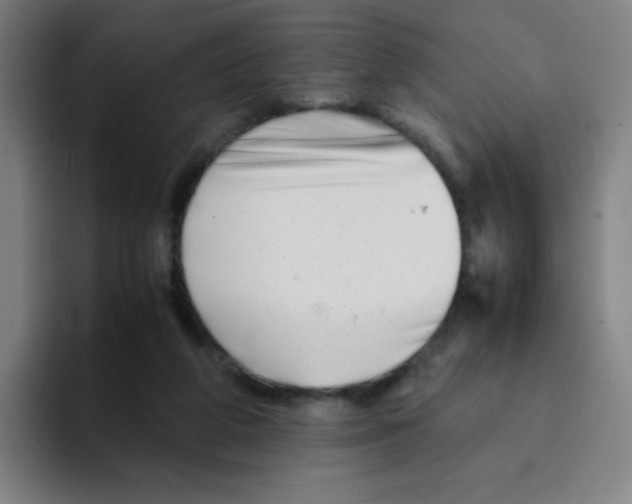 X0000094930210200712271559