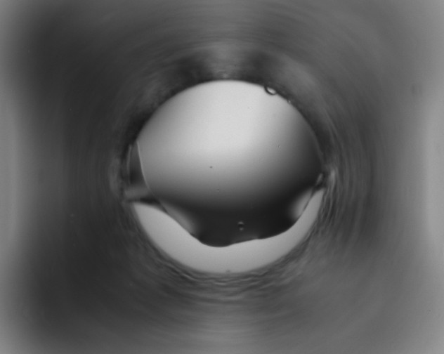 X0000094930221200712271559