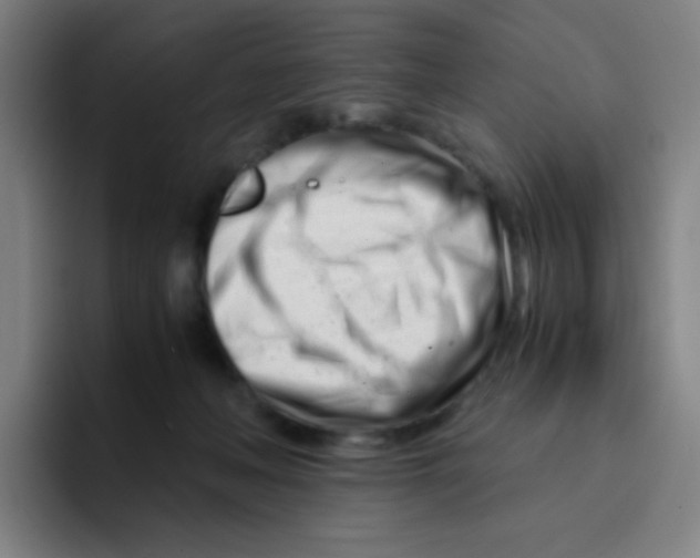 X0000094930222200712271559