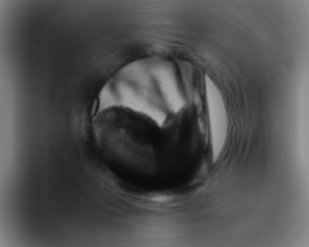 X0000094930223200712271559