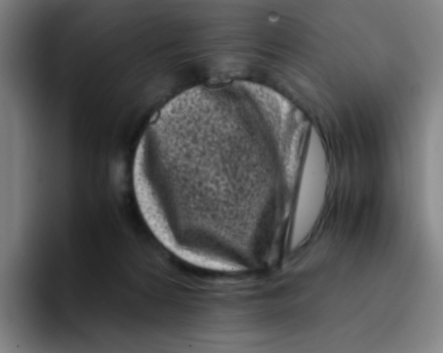 X0000094930224200712271559