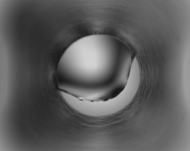 X0000094930225200712271559