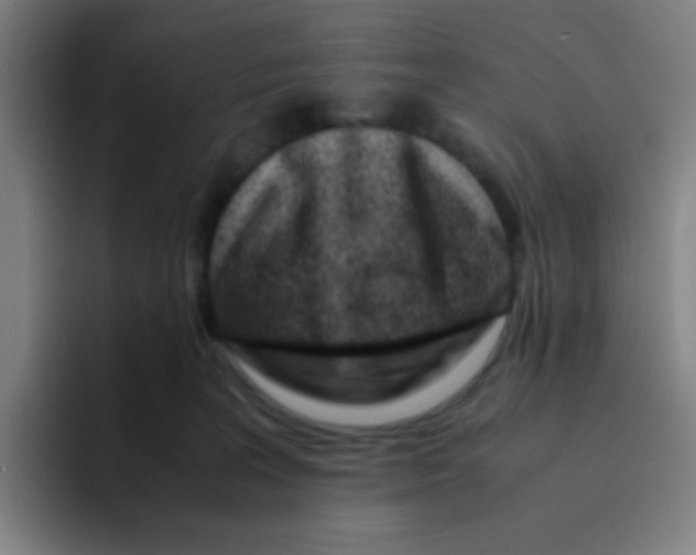 X0000094930227200712271559
