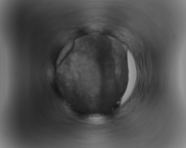 X0000094930231200712271559