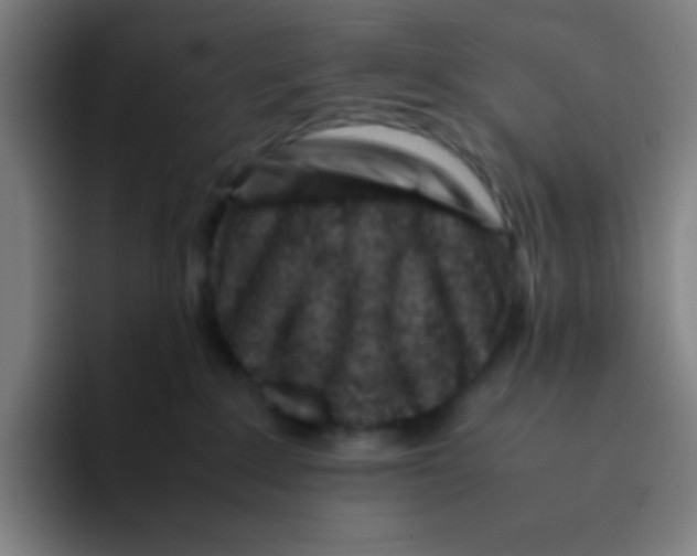 X0000094930235200712271559