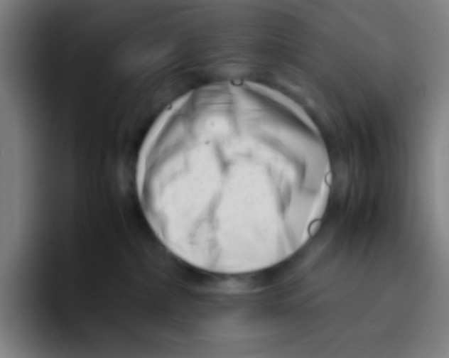 X0000094930236200712271559