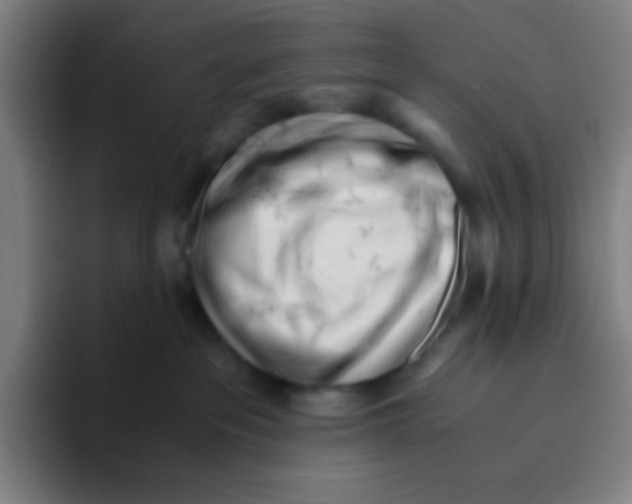 X0000094930237200712271559