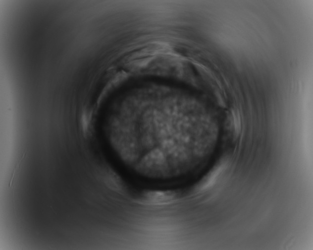 X0000094930239200712271559